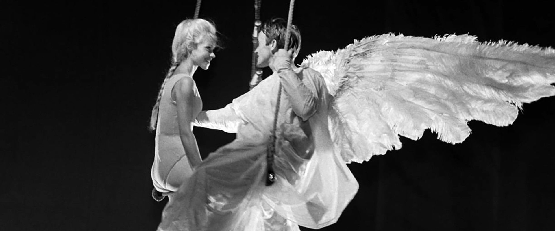 Circus Angel's banner image