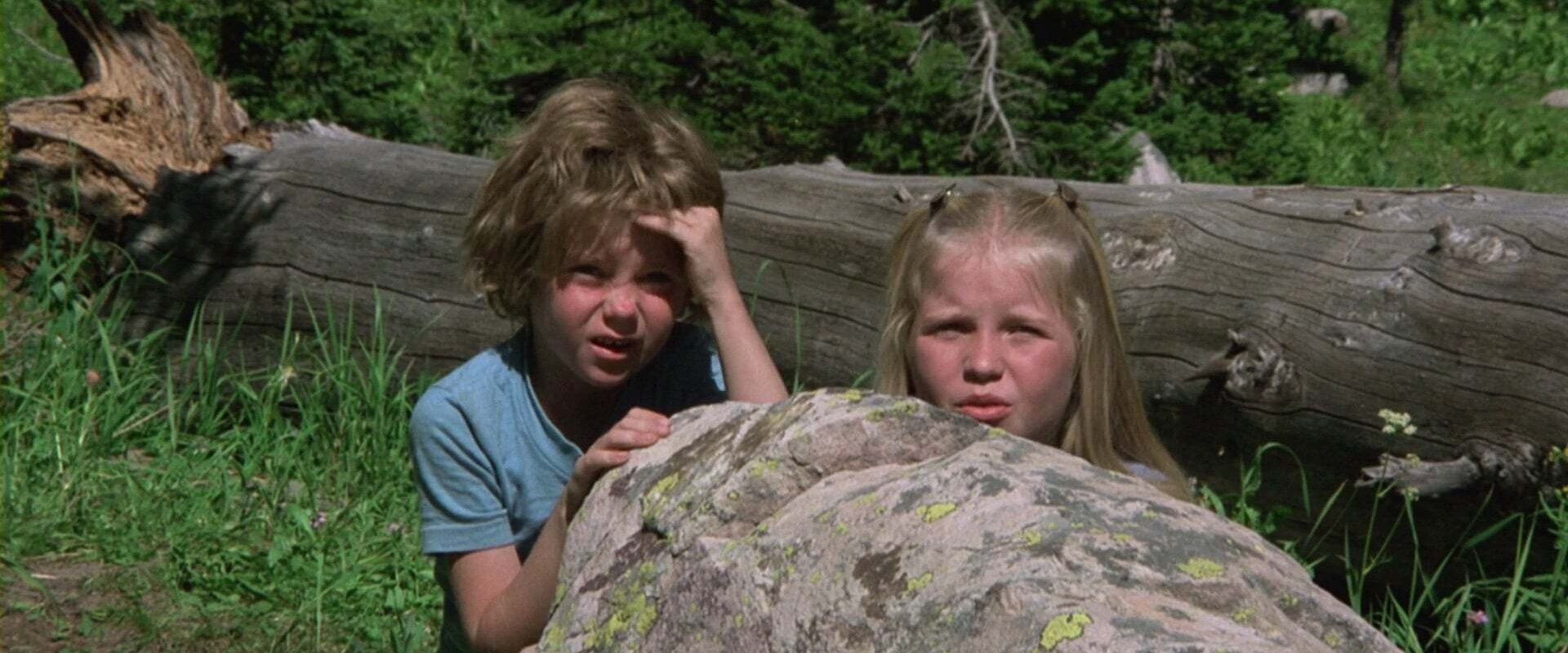The Further Adventures of the Wilderness Family