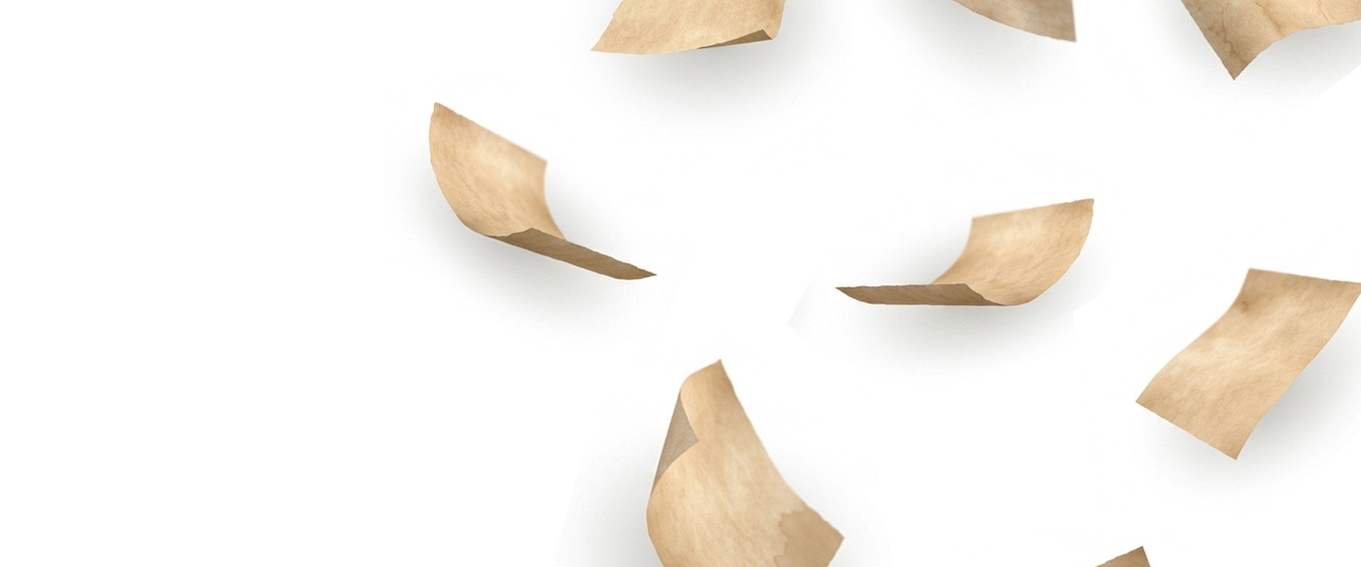 The 8th Letter's banner image