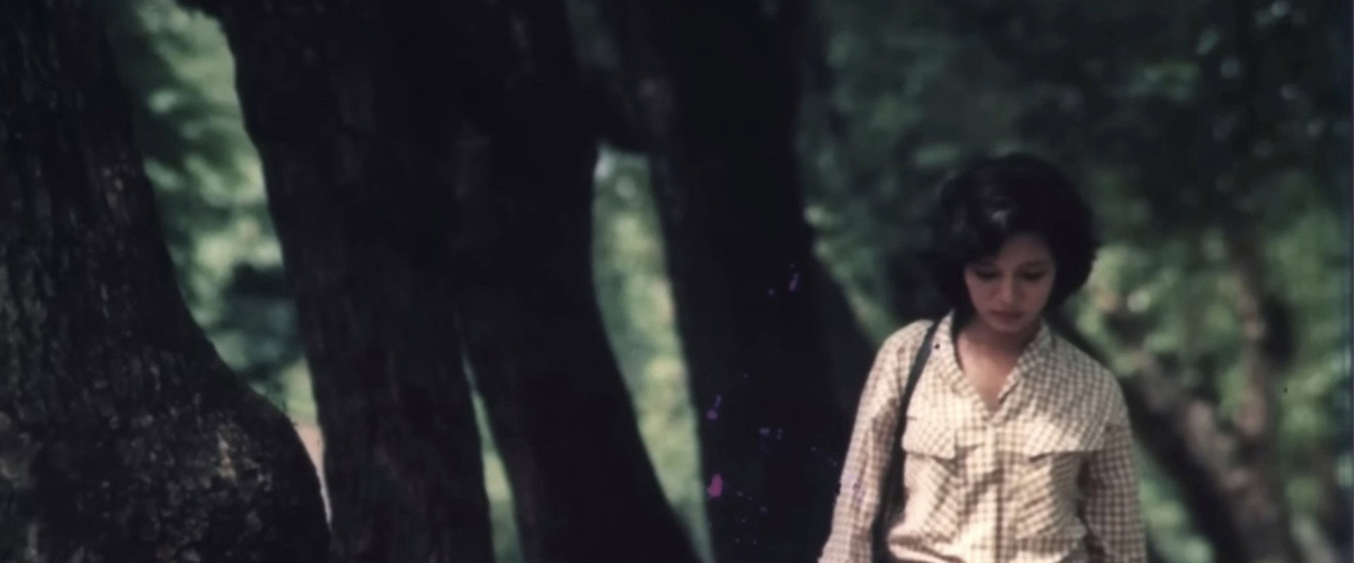 The Girl on the River's banner image