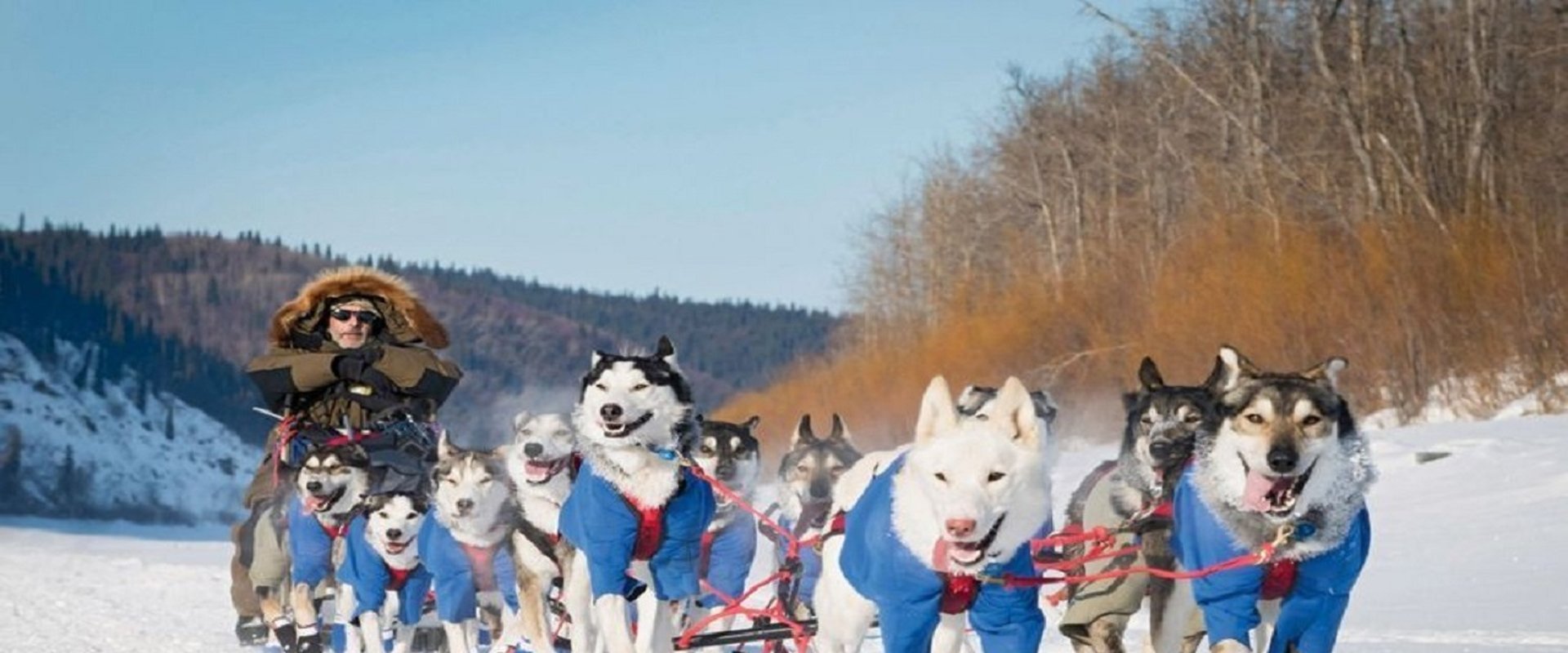 Siberian Odyssey