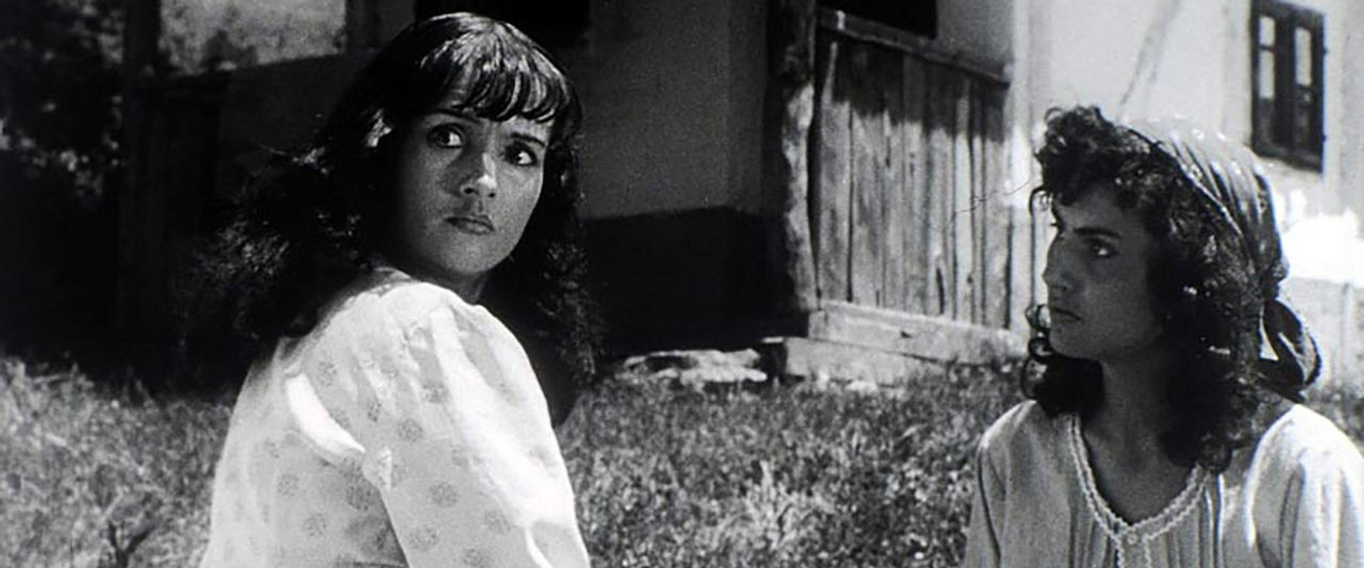 Hanka's banner image