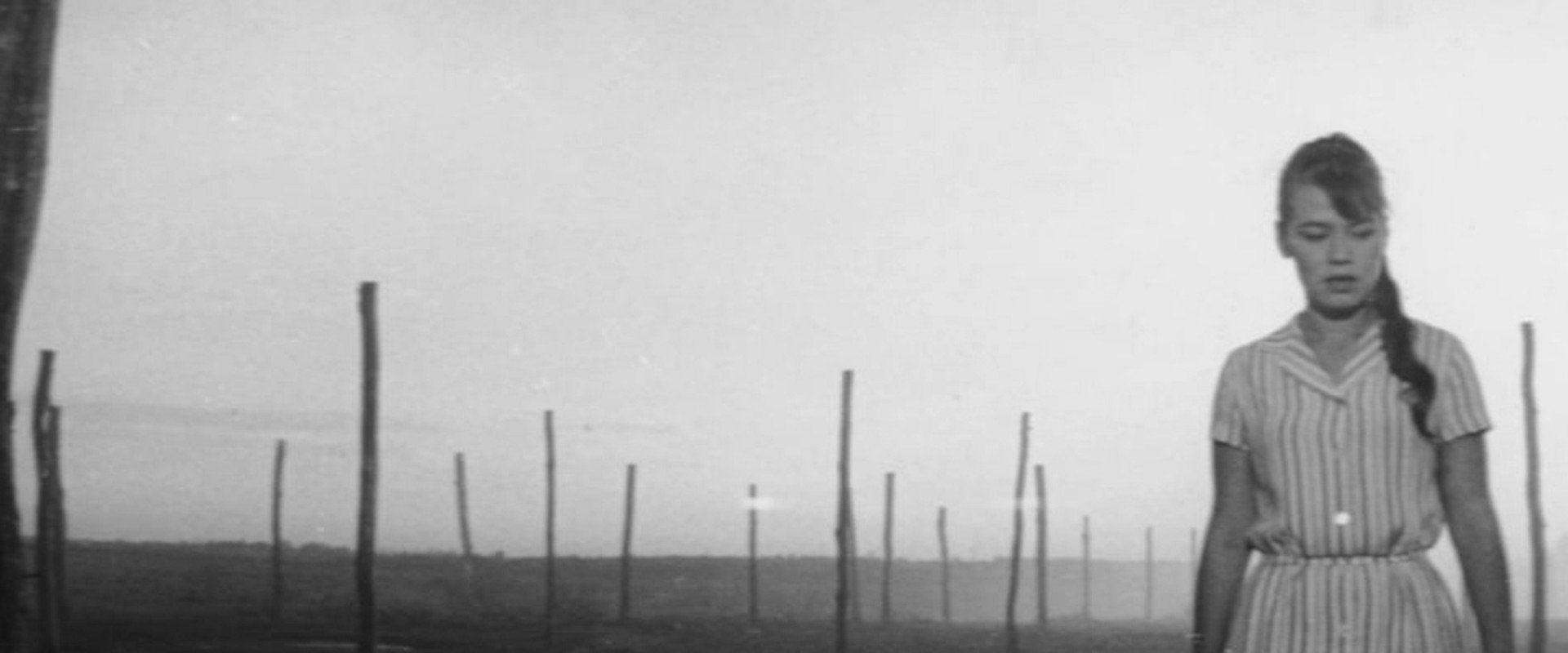 Extra Grain's banner image
