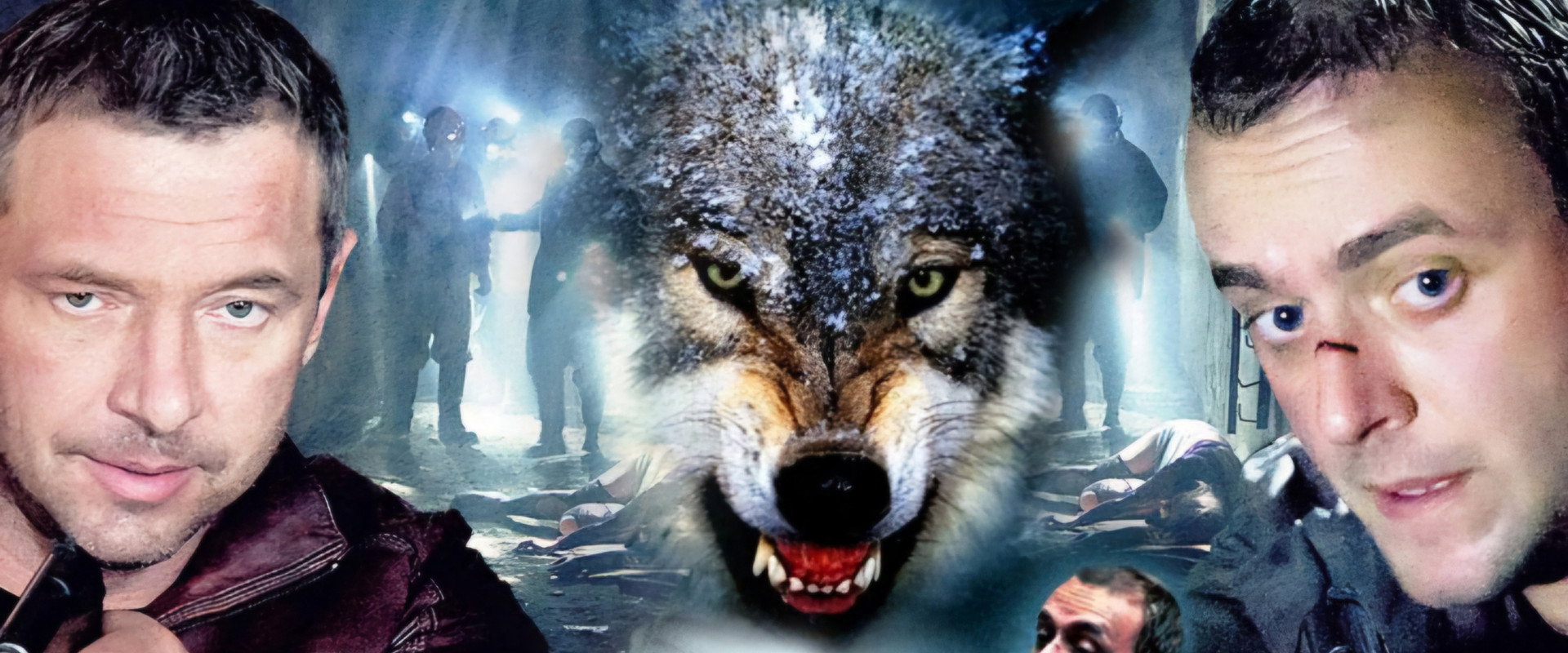 Одинокий волк's banner image
