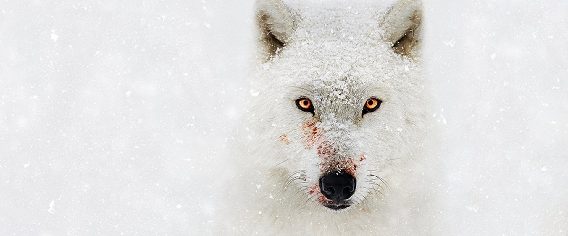 水深火热的星球