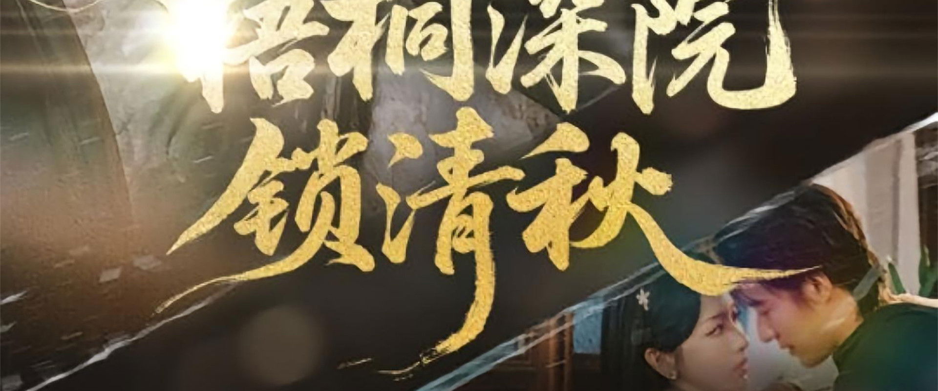 梧桐深院锁清秋's banner image