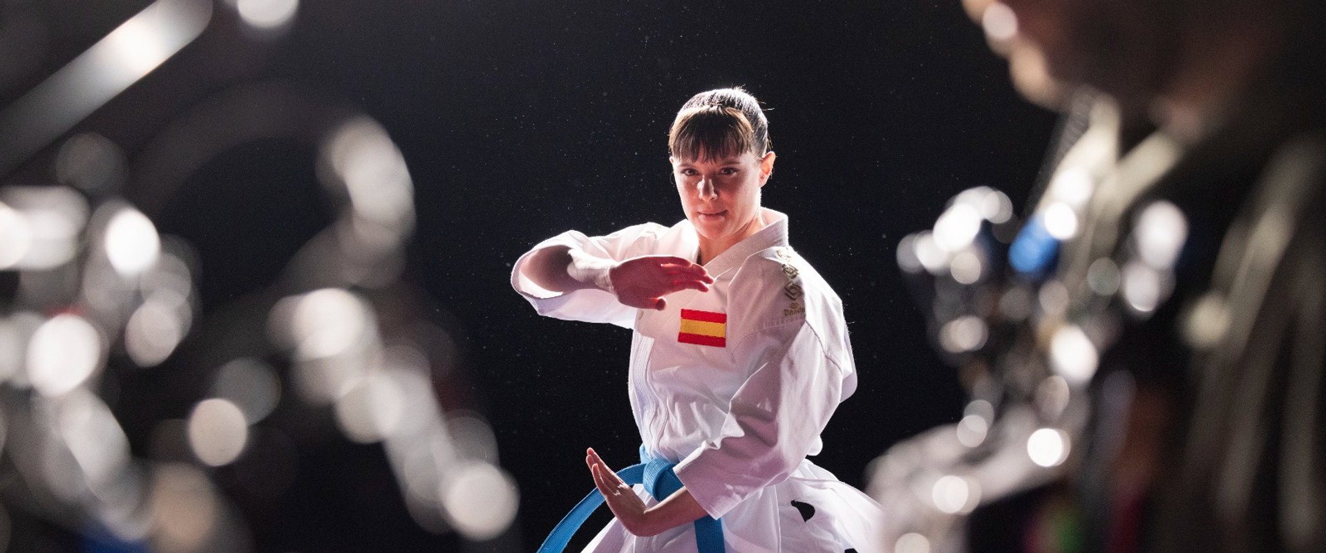 Karateka's banner image