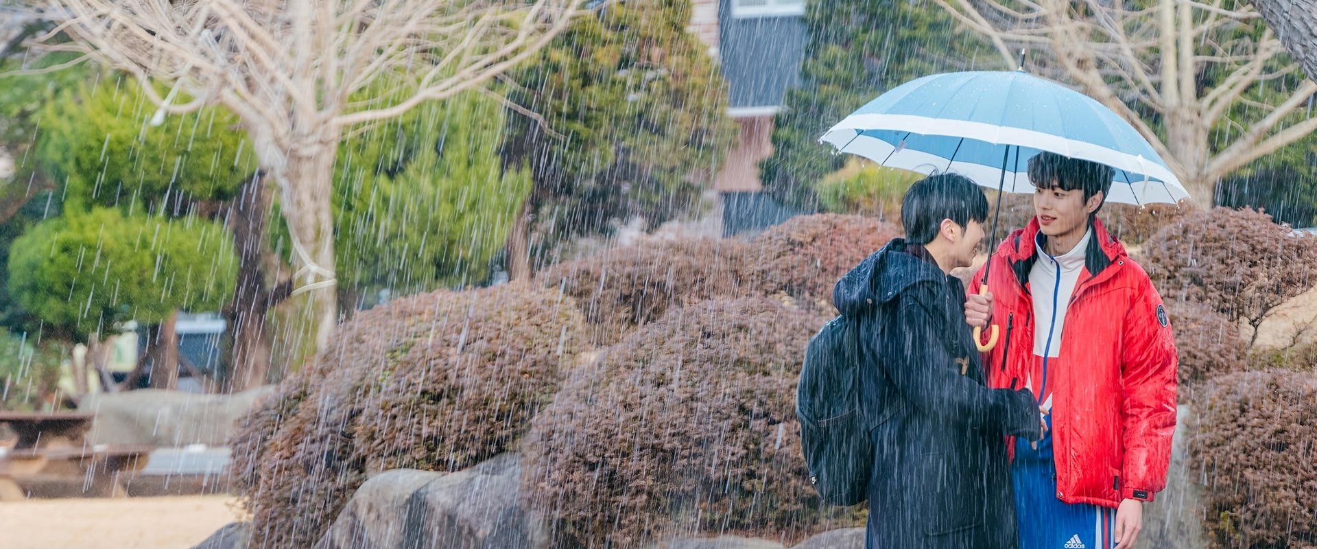 Let Free the Curse of Taekwondo