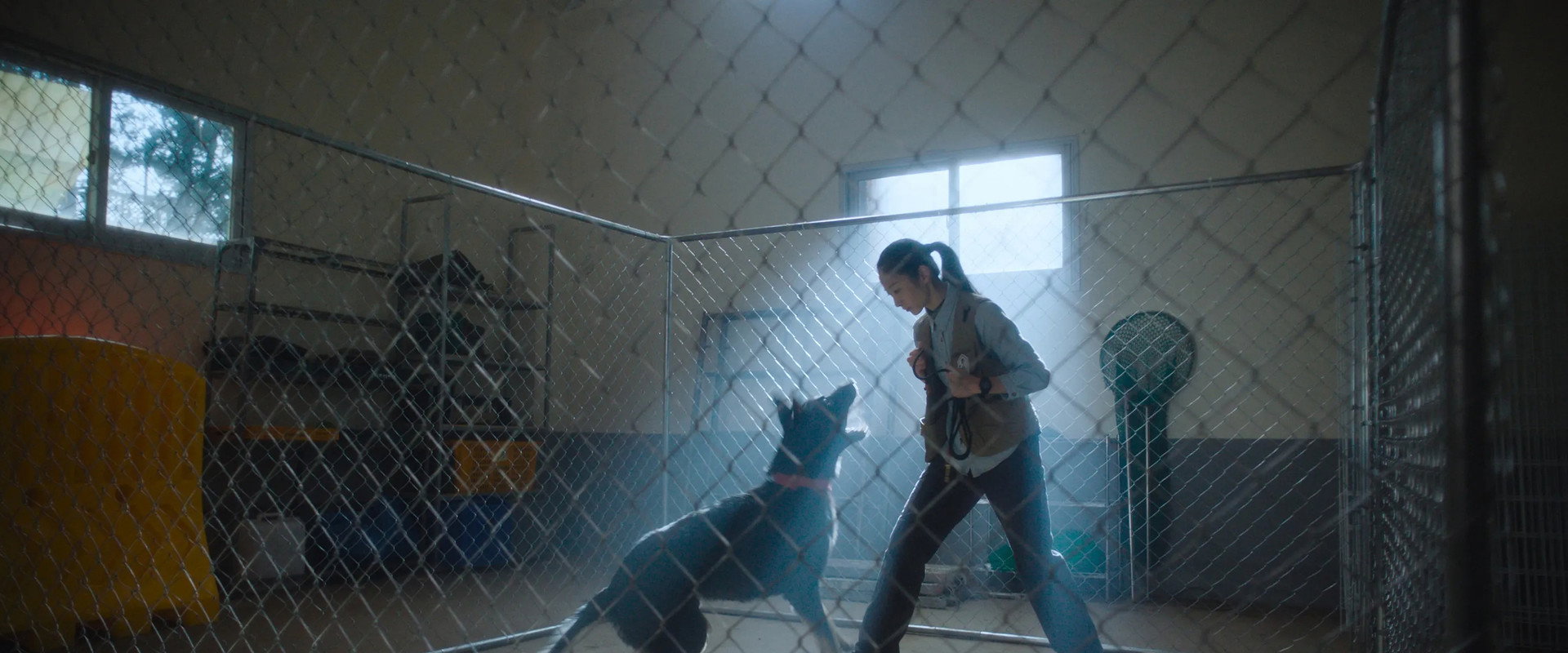 Wrangler's banner image