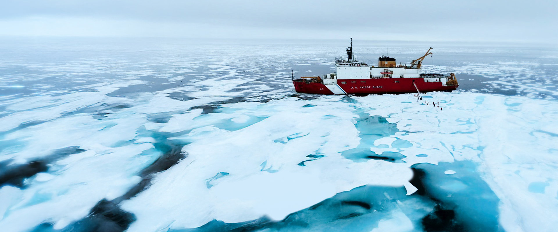 Race for the Arctic's banner image
