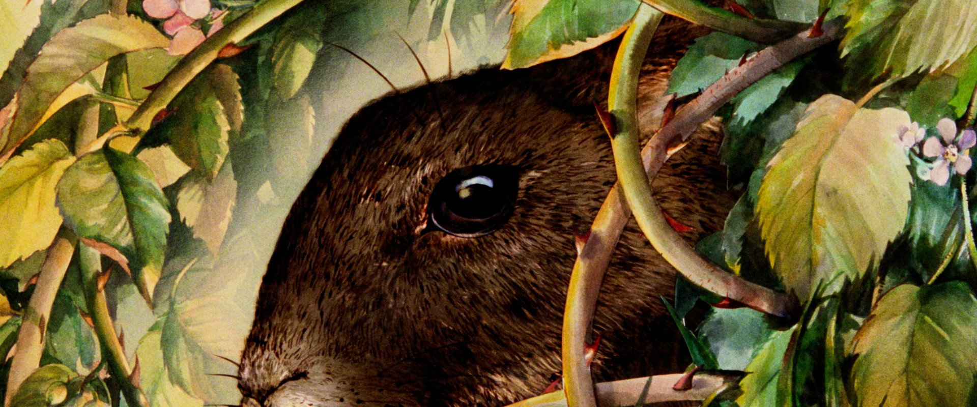 Watership Down's banner image