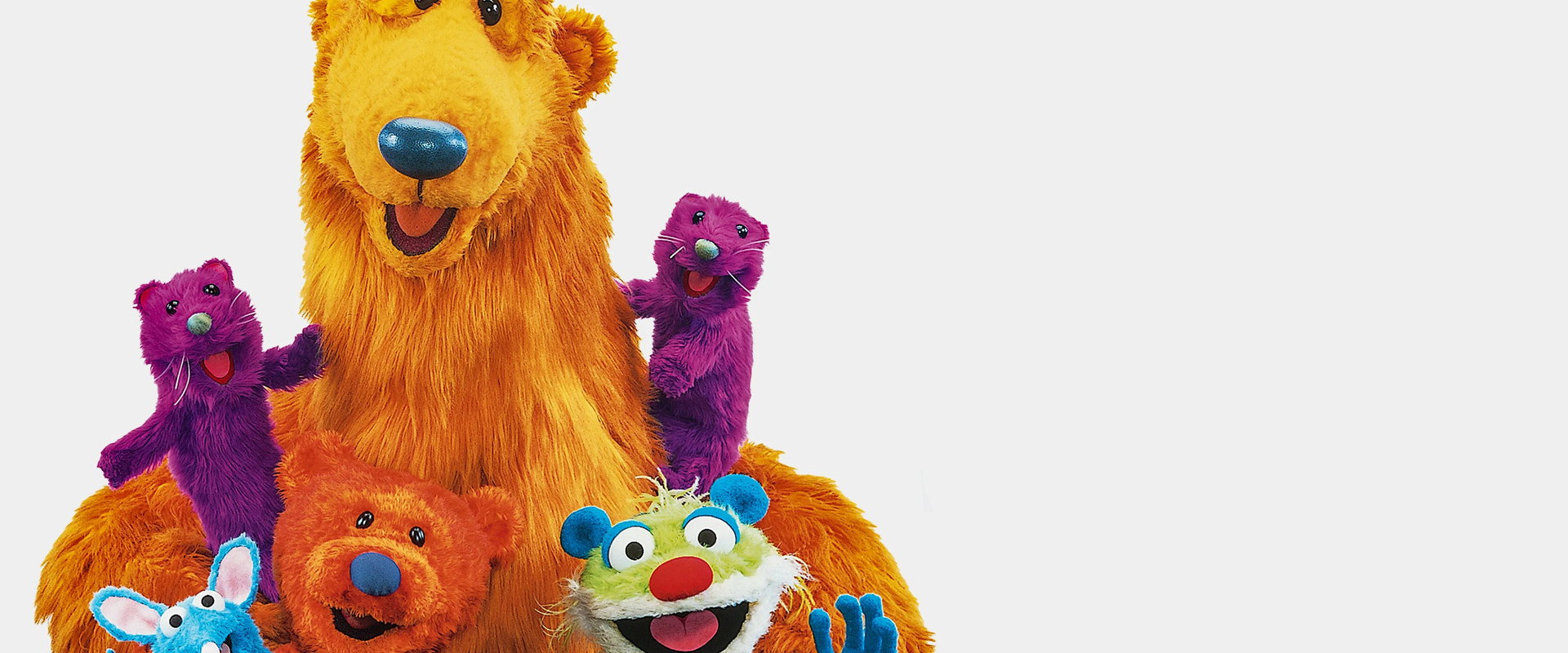 大熊贝尔蓝色的家