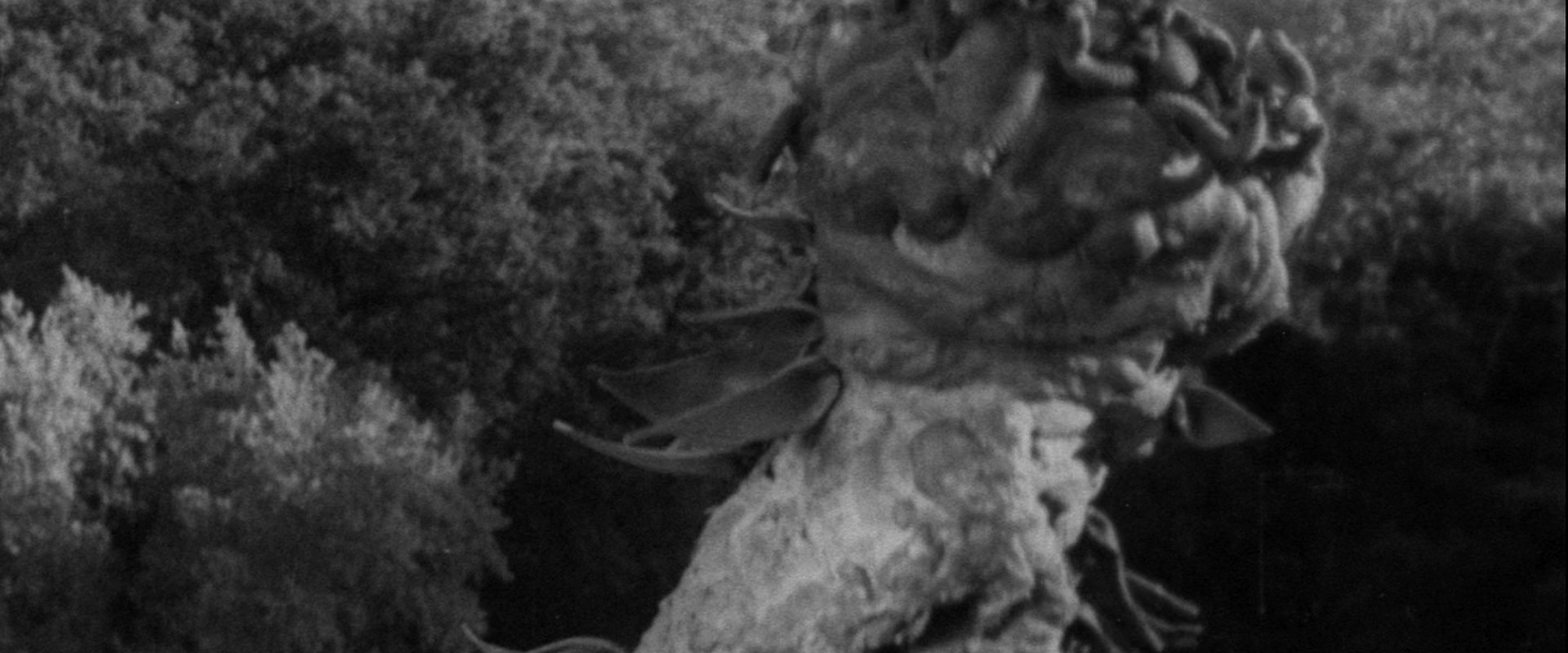 The Creeping Terror