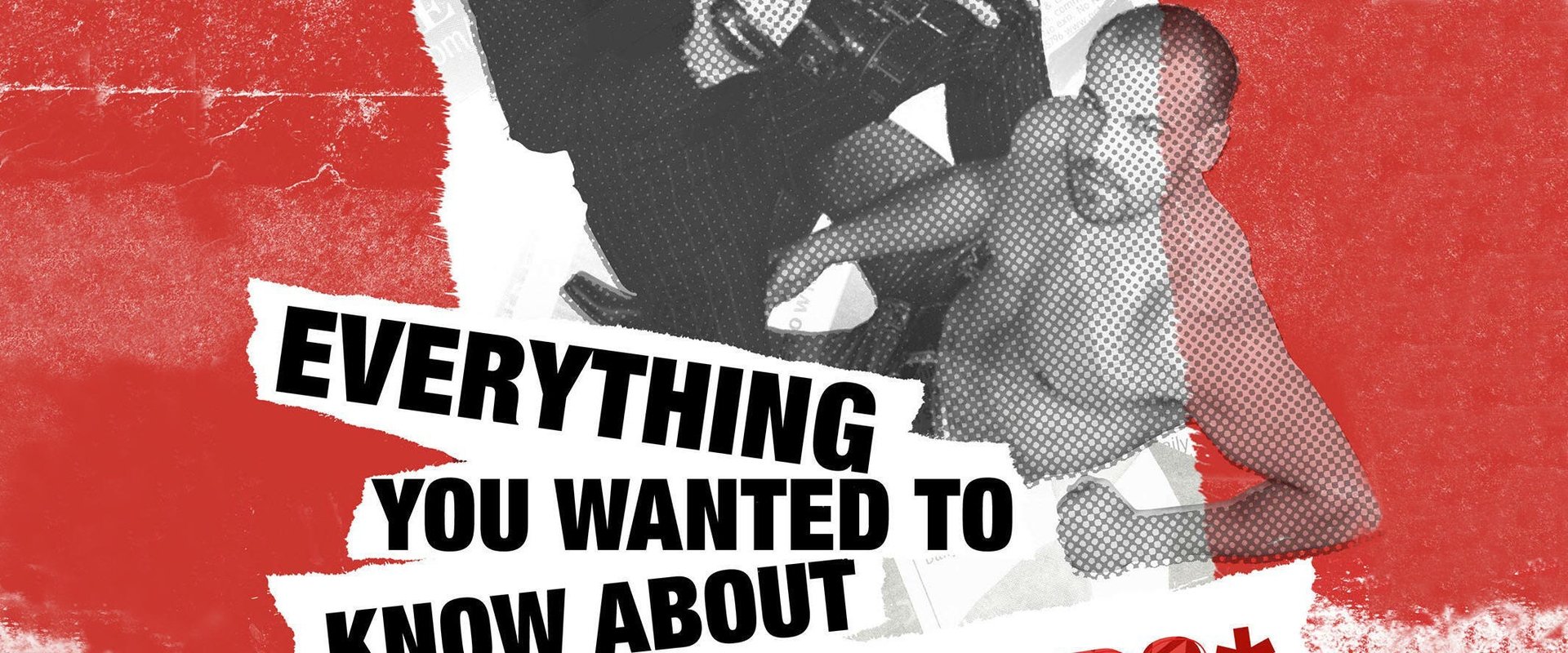 Everything You Wanted to Know About Gay Porn Stars *But Were Afraid to Ask