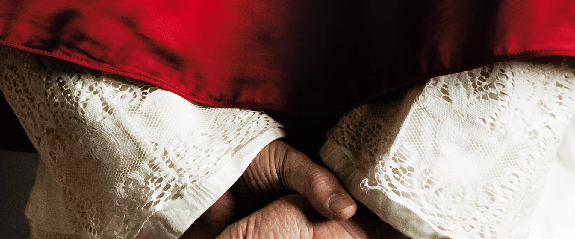 We Have a Pope's banner image