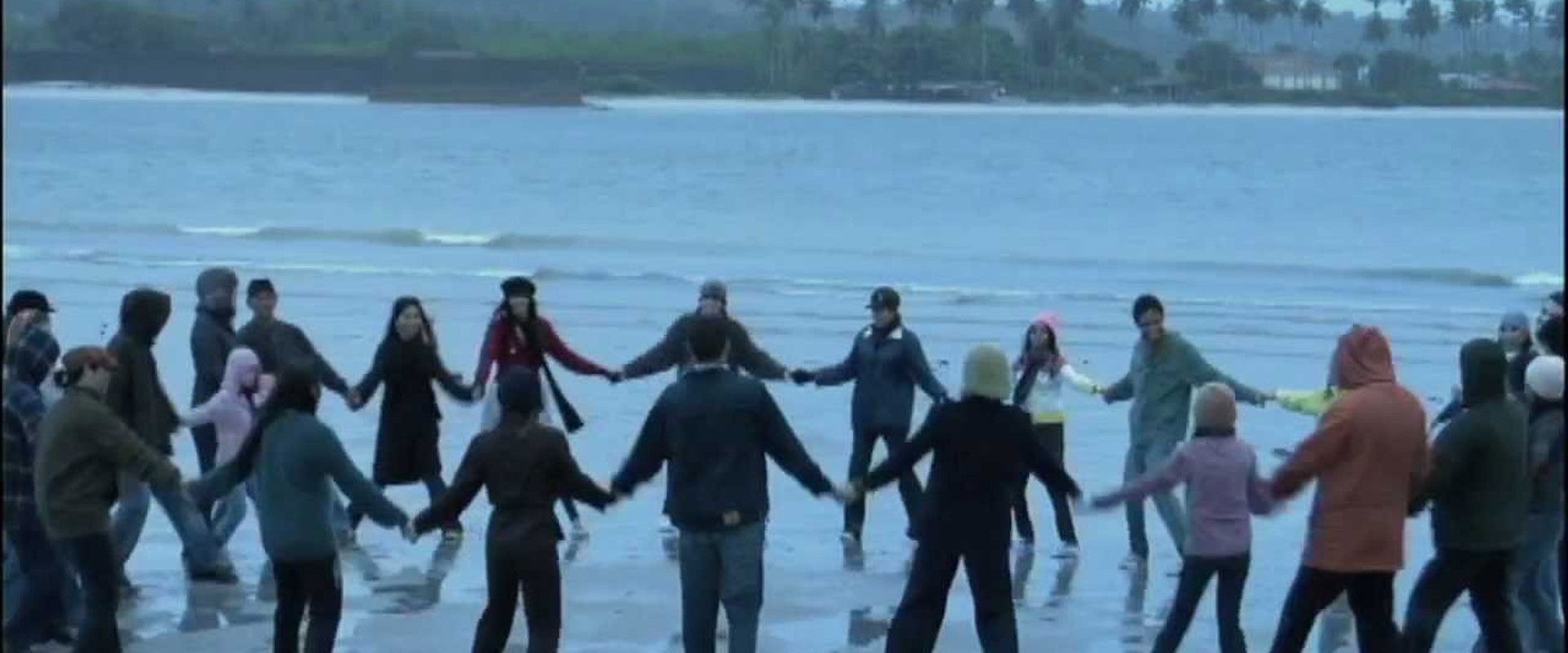 Cold Tropics's banner image