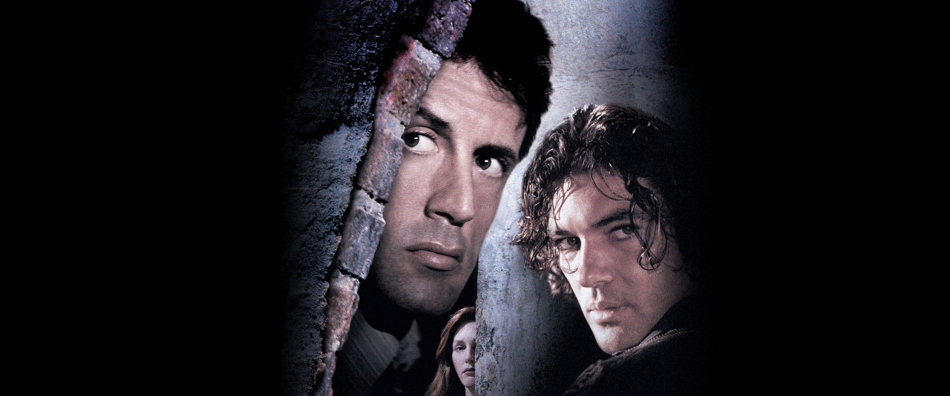 Assassins's banner image