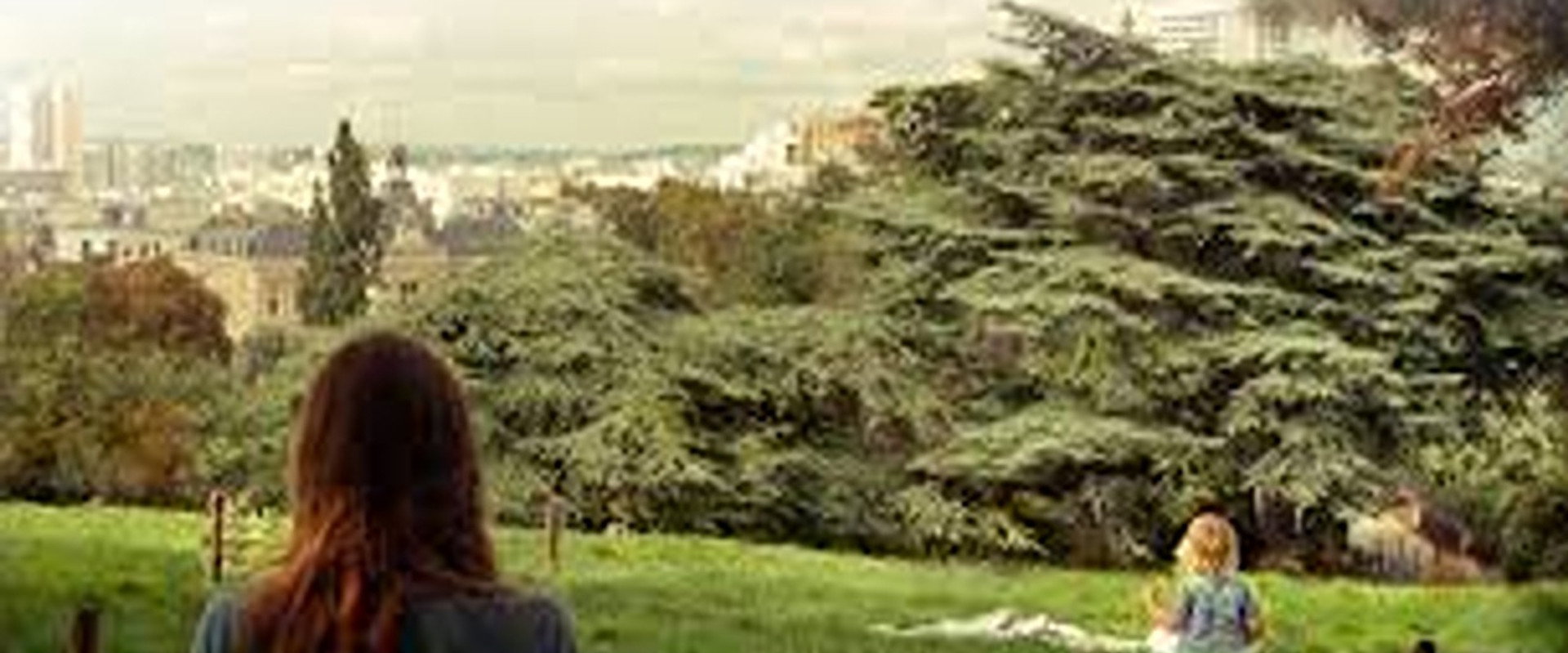 Lands of Silence's banner image