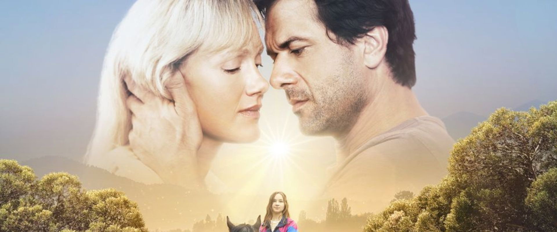 Im Schatten das Licht's banner image