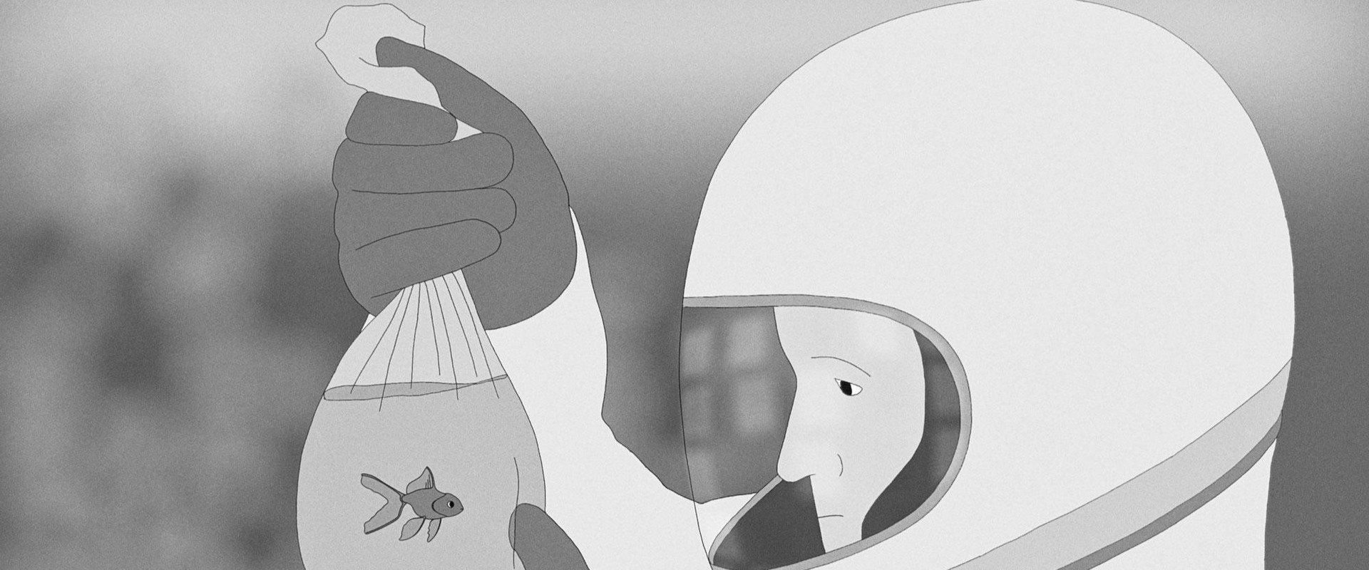 Moonfish's banner image