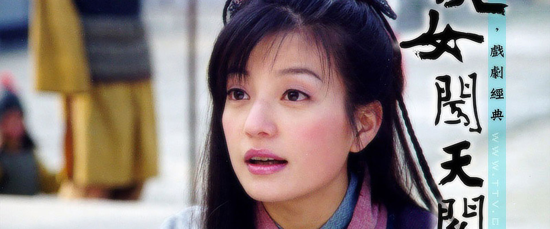 Treasure Venture's banner image