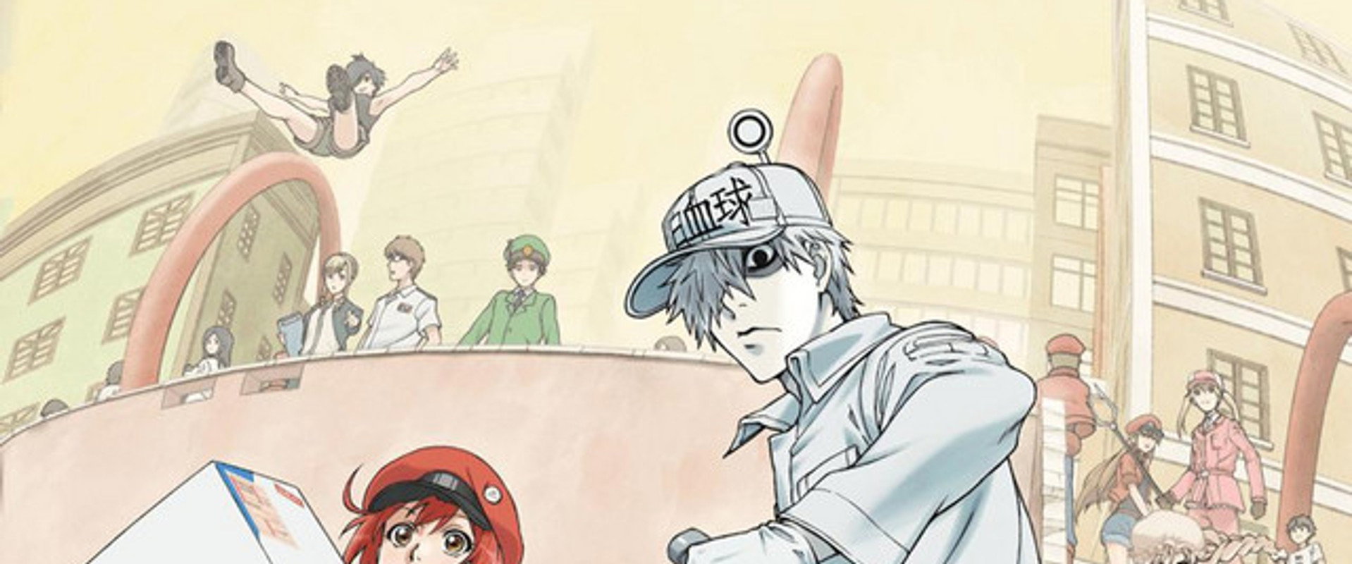 Cells at Work!