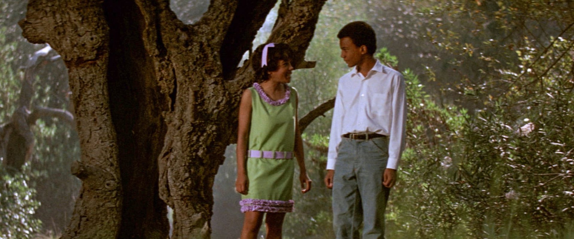 The Learning Tree