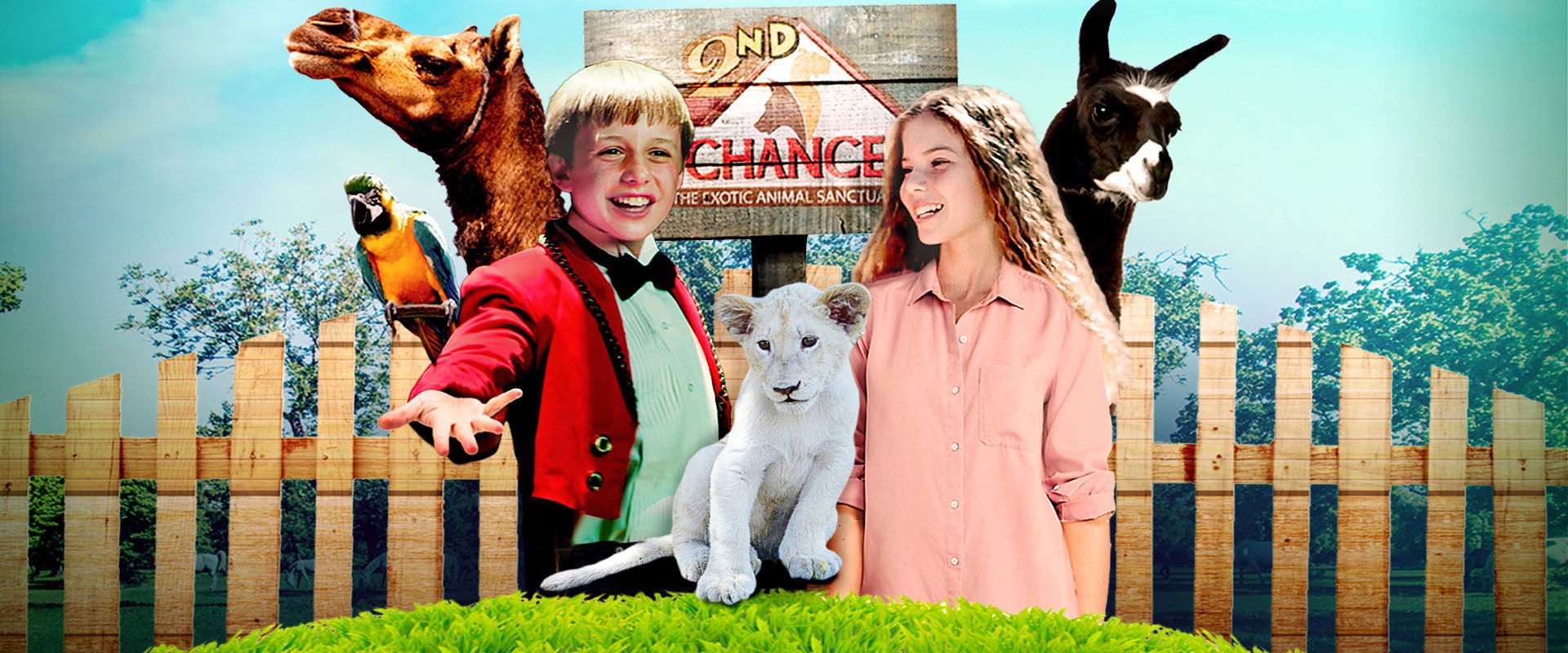 Jimmy's Jungle's banner image