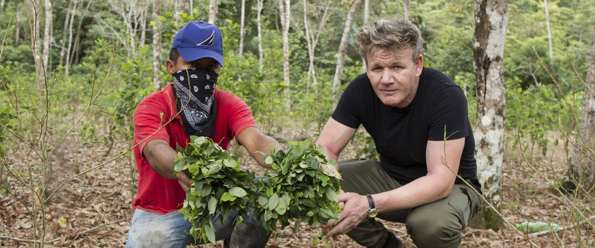 Gordon Ramsay on Cocaine