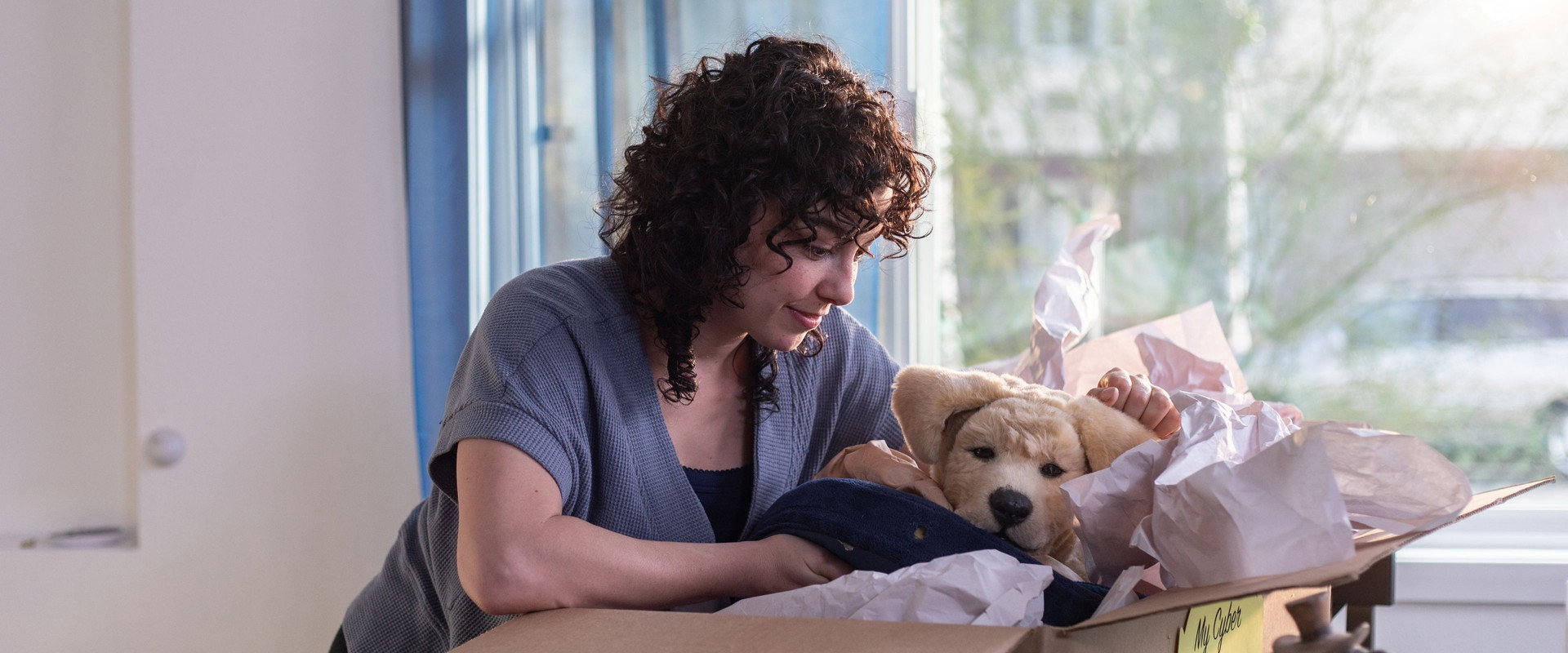 Walkies's banner image