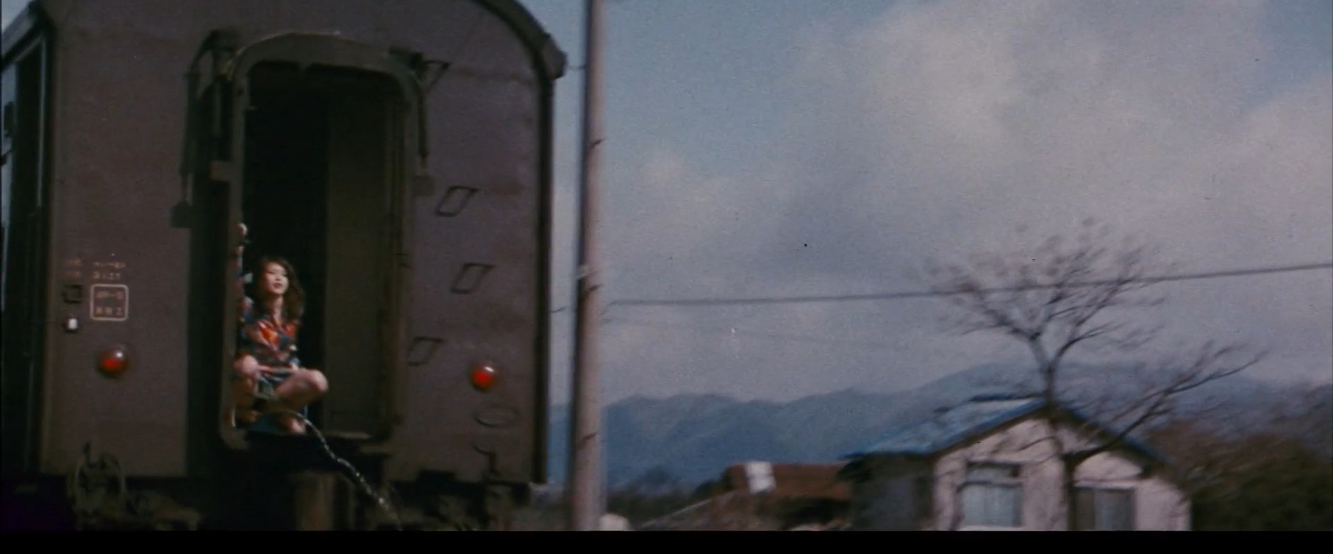 Sapporo, Yokohama, Ogoto, Hakata: Turkish Migratory Birds's banner image