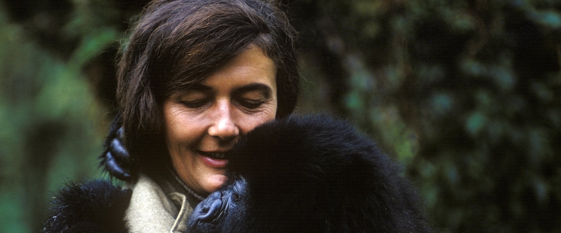 Dian Fossey: Secrets in the Mist