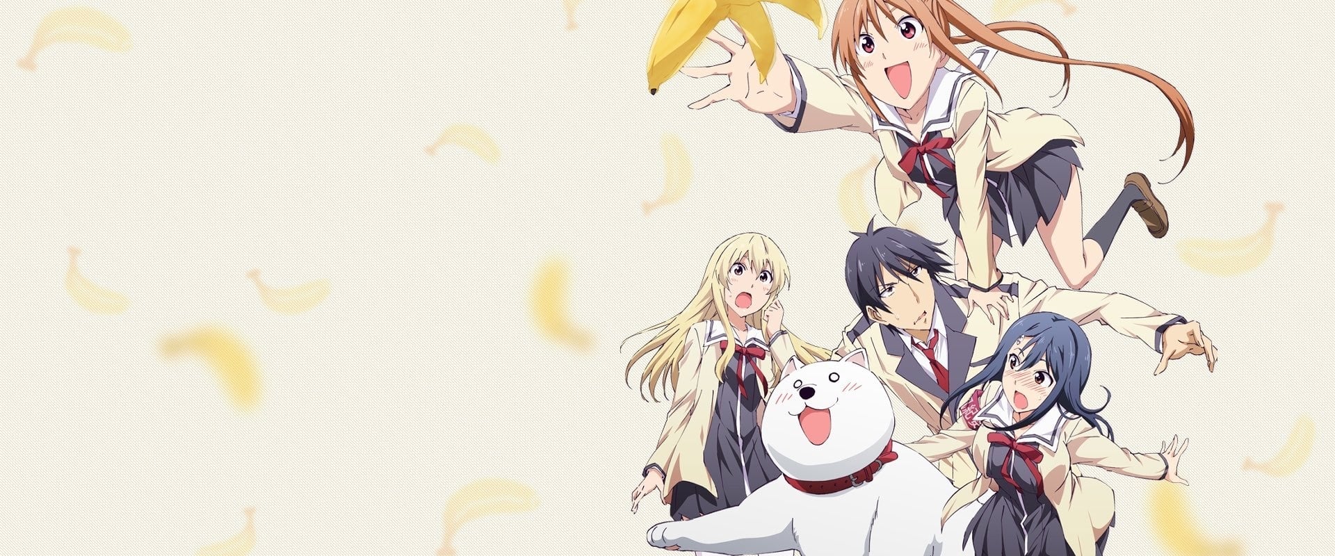 Aho Girl