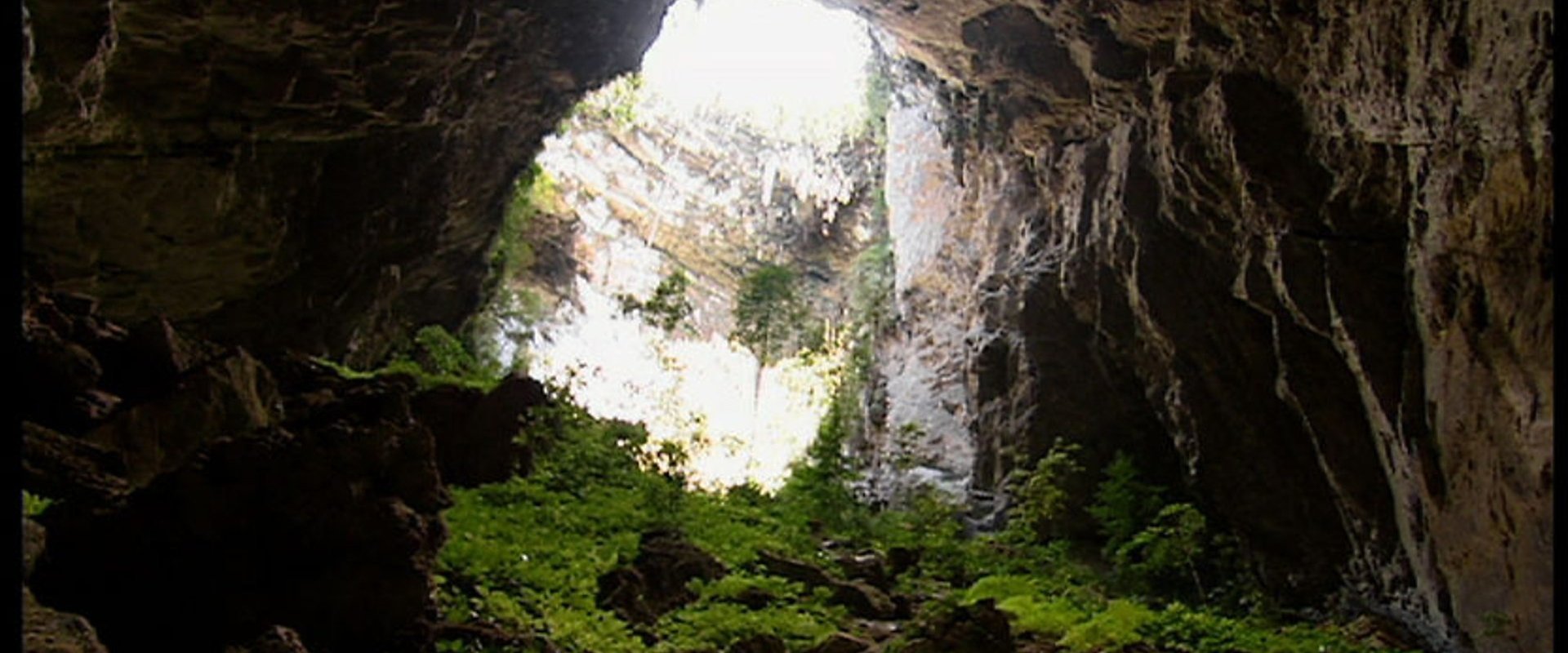 Expedition Borneo