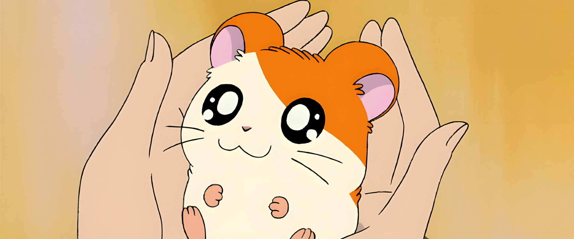 Hamtaro's banner image