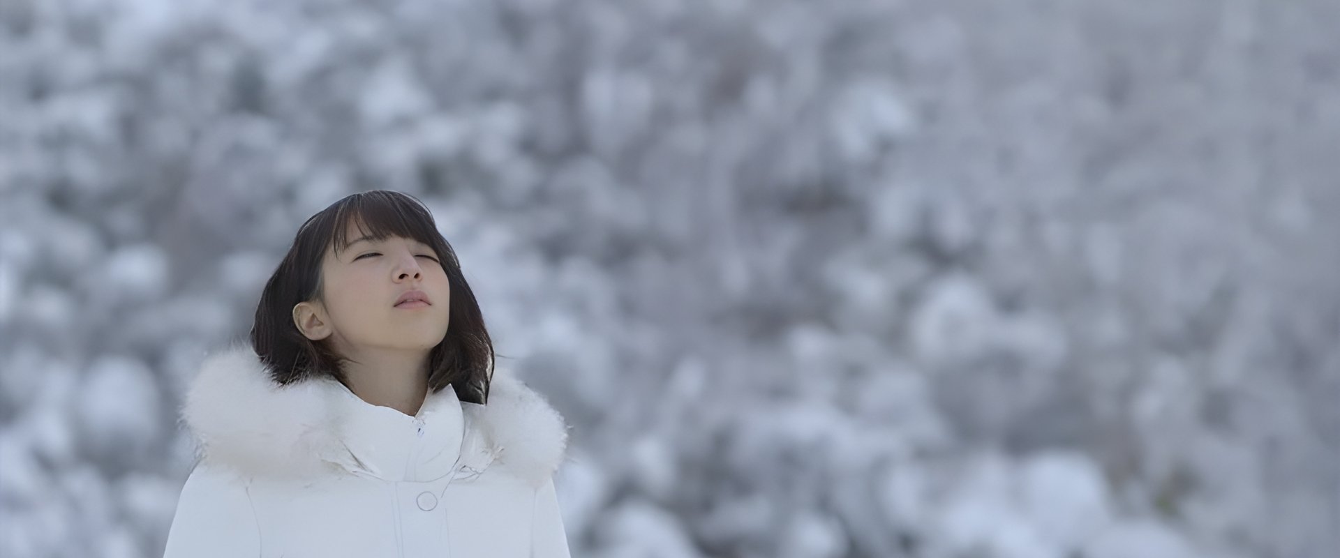 乃木坂46 橋本奈々未の恋する文学