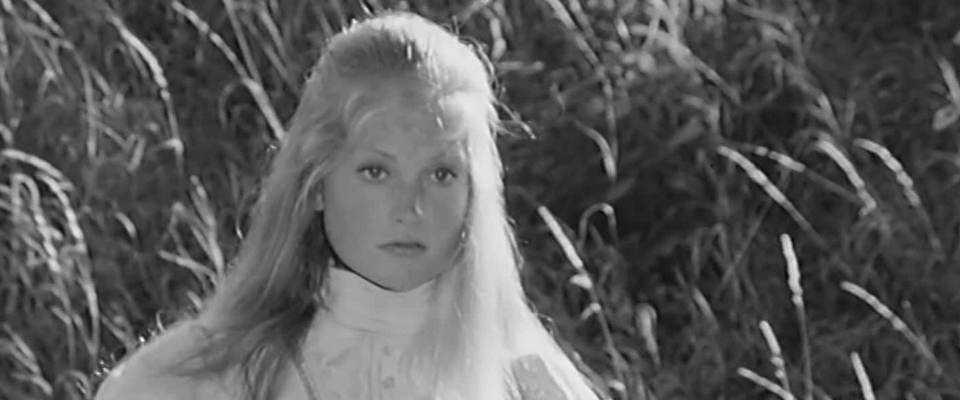 Les Cent Livres des Hommes's banner image