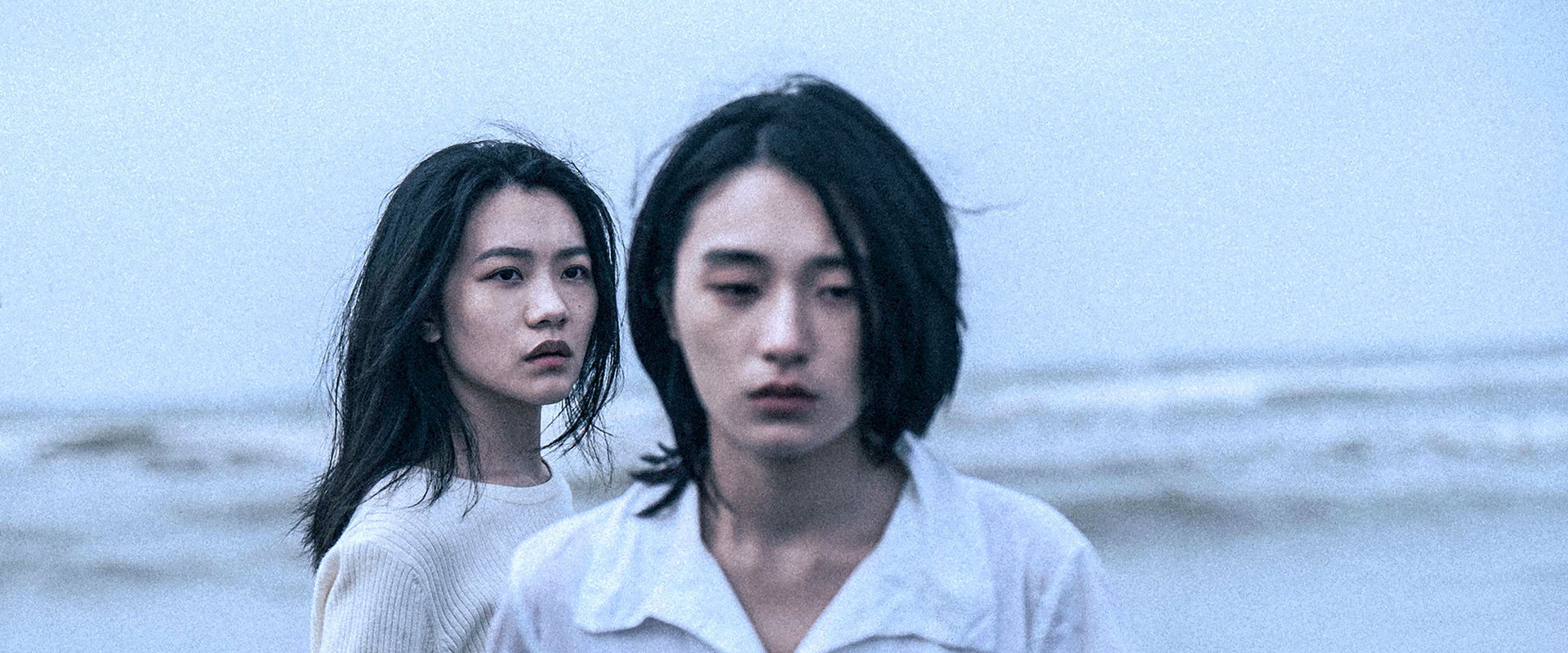 Who'll Stop the Rain's banner image