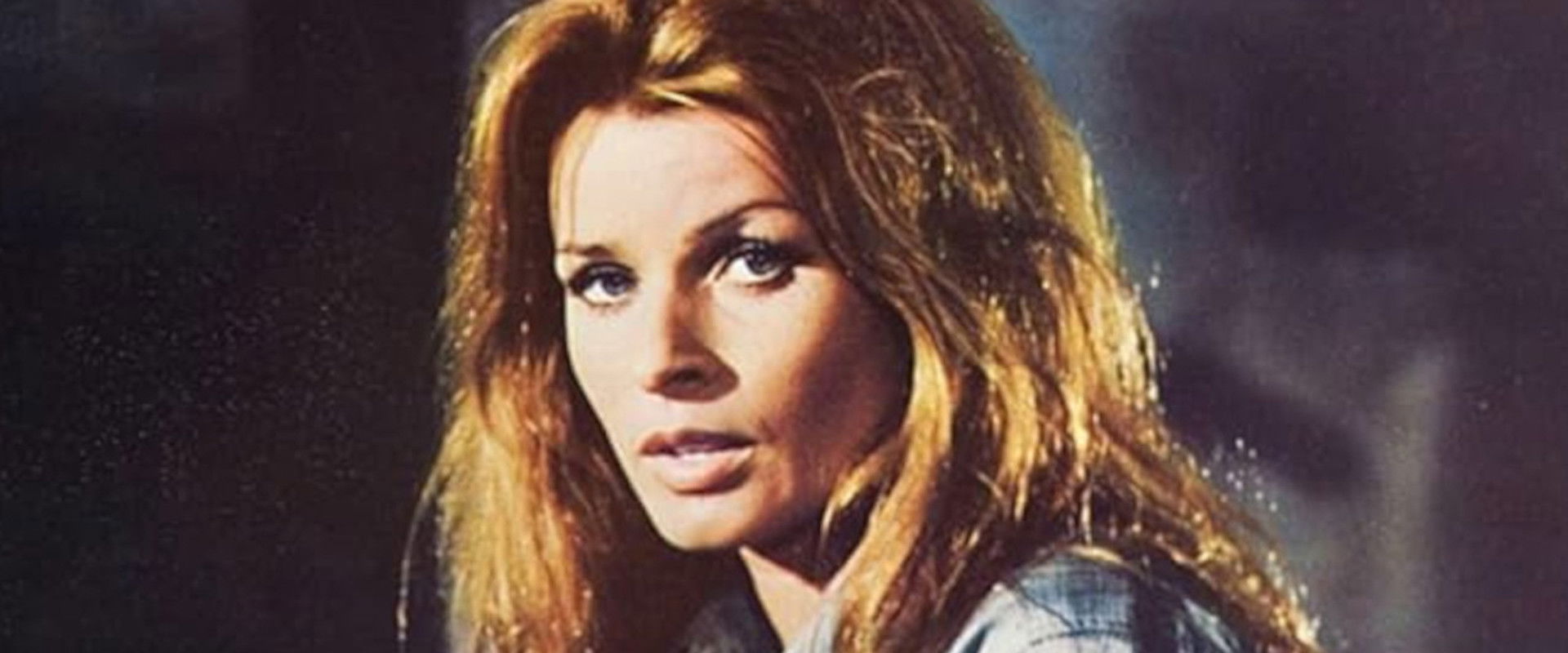 The Strangers's banner image