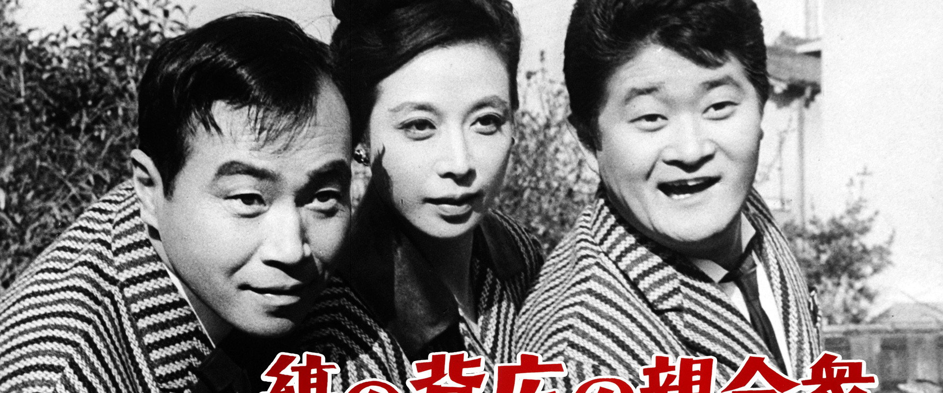 Aces Wild's banner image