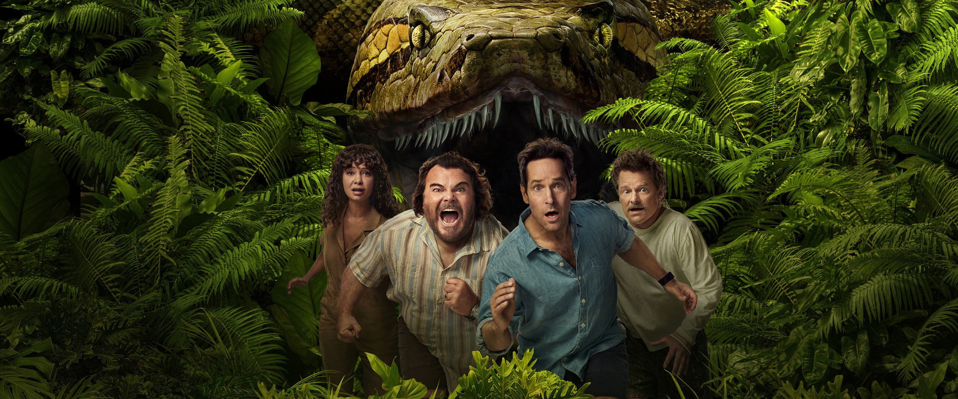 Anaconda's banner image