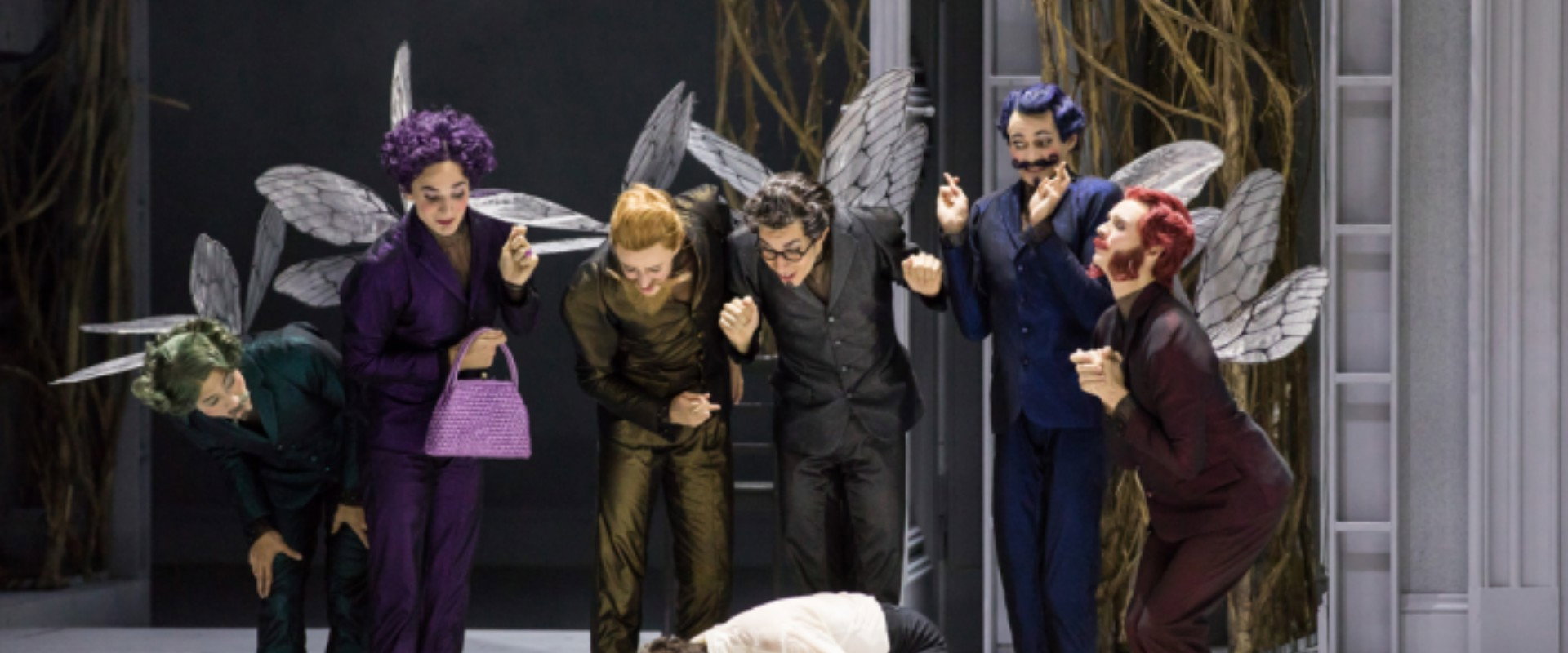 Tchaikovsky: Sleeping Beauty's banner image