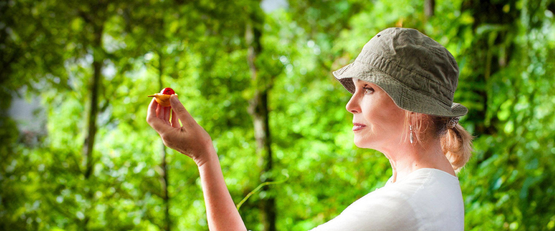 乔安娜·拉姆利的香料之路冒险