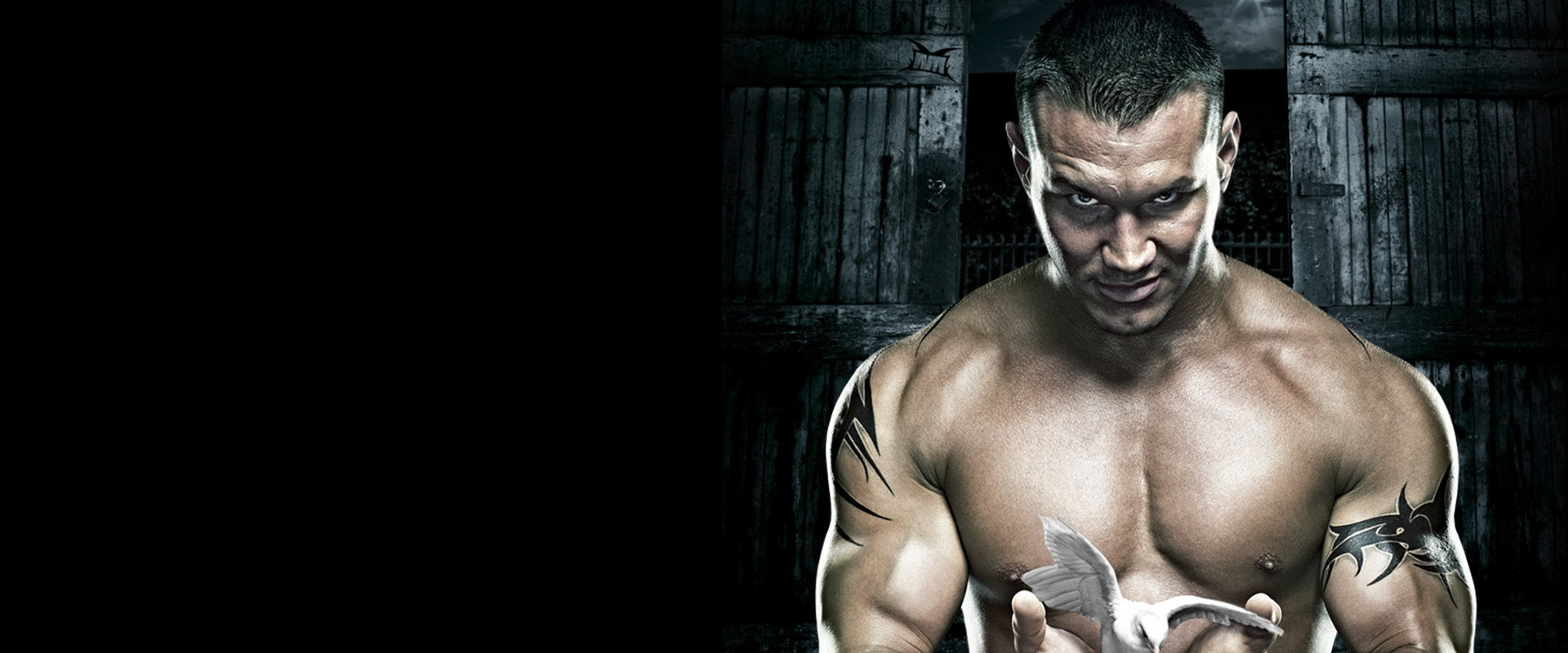 WWE No Mercy 2007's banner image
