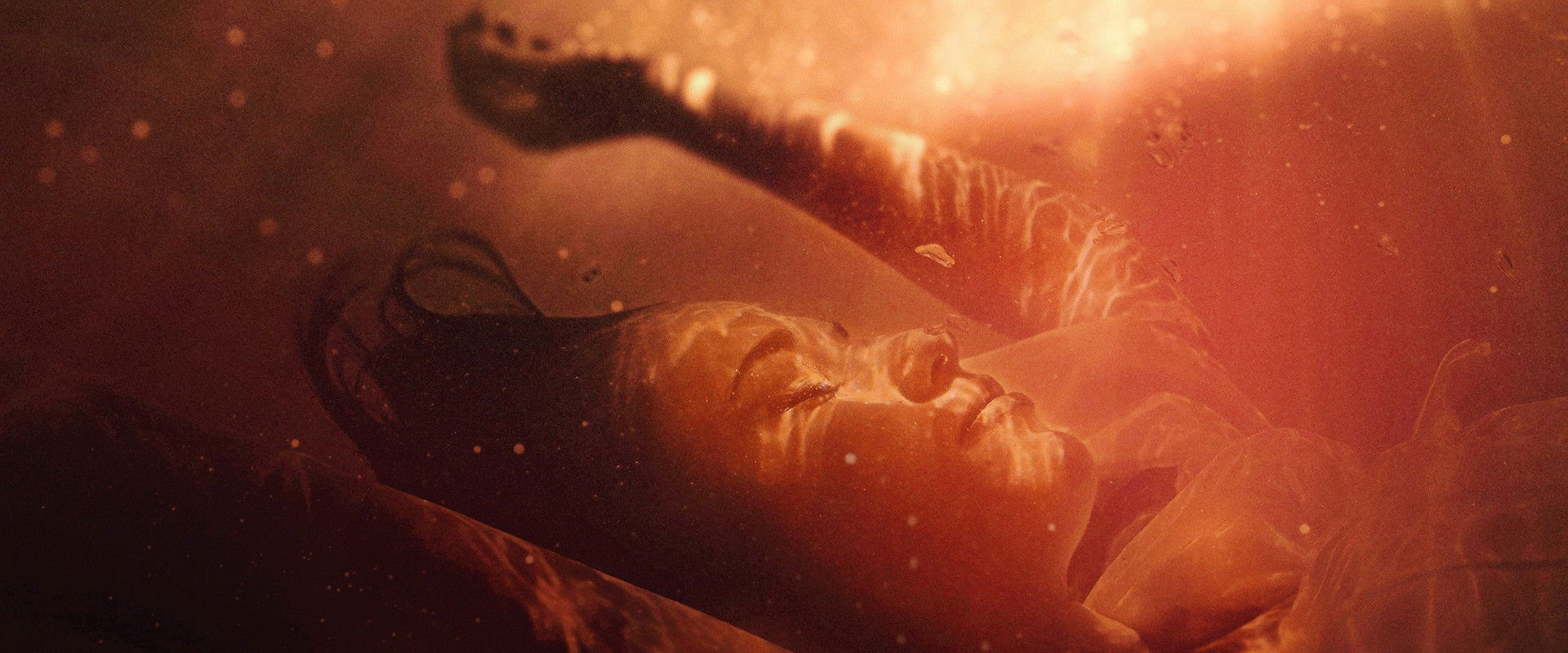 Swamp Murders's banner image