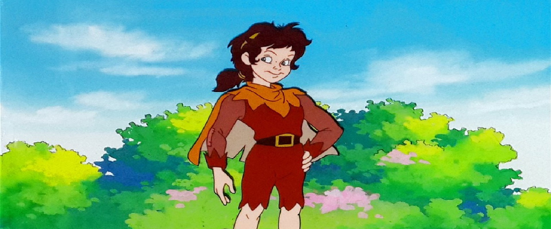 Peter Pan & the Pirates's banner image