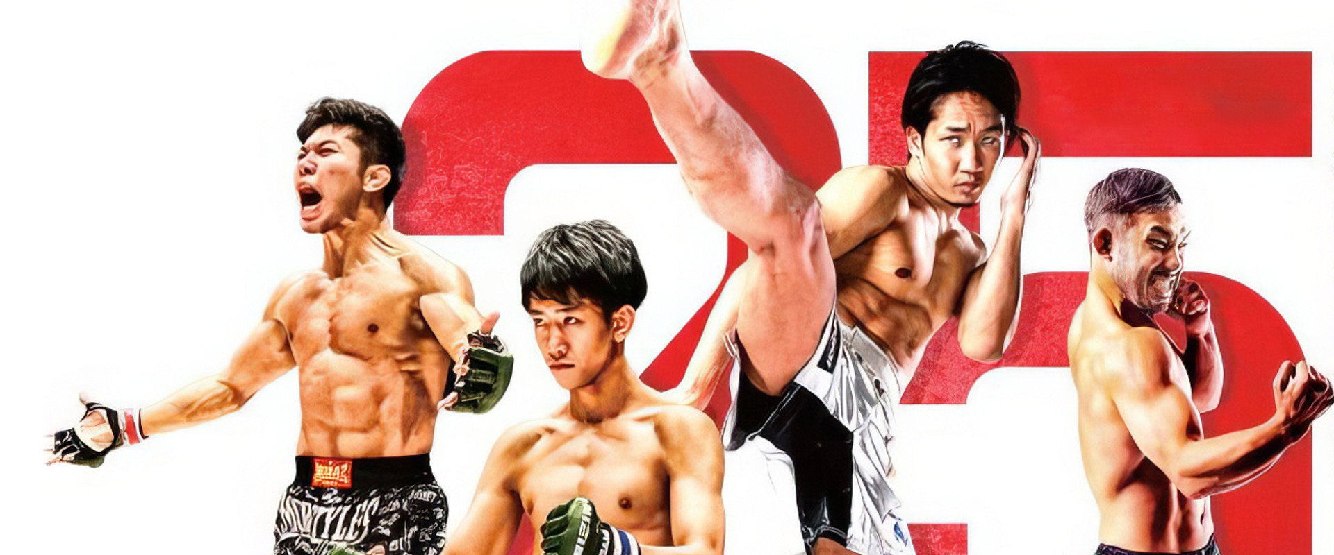 RIZIN 25's banner image