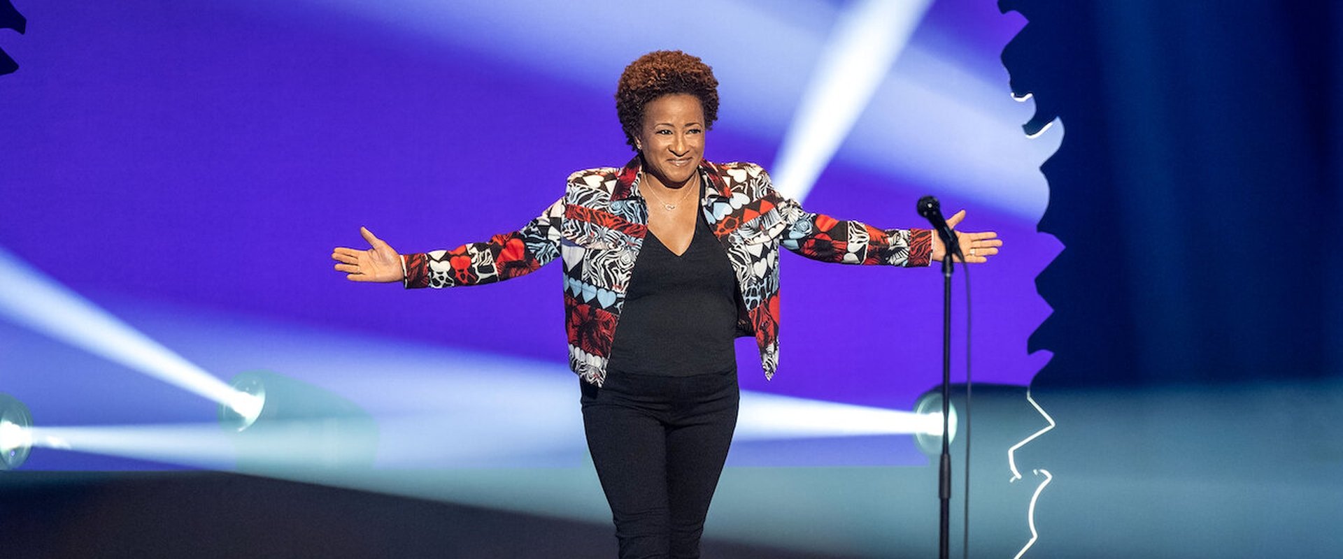 Wanda Sykes: I'm an Entertainer
