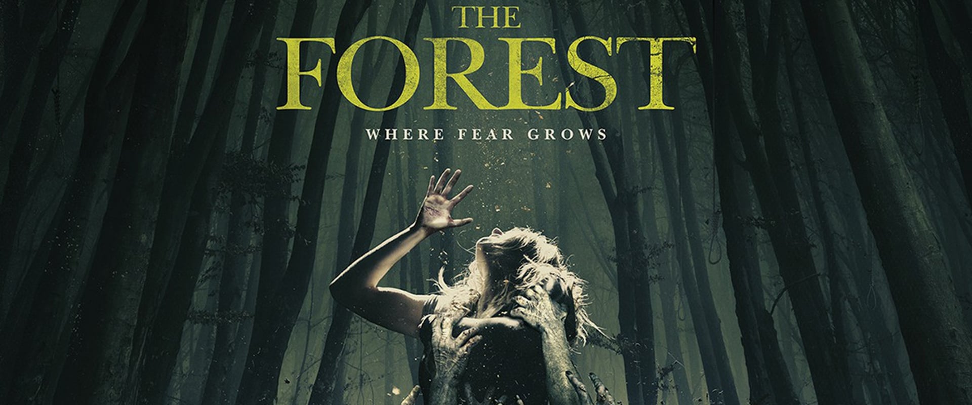 The Forest