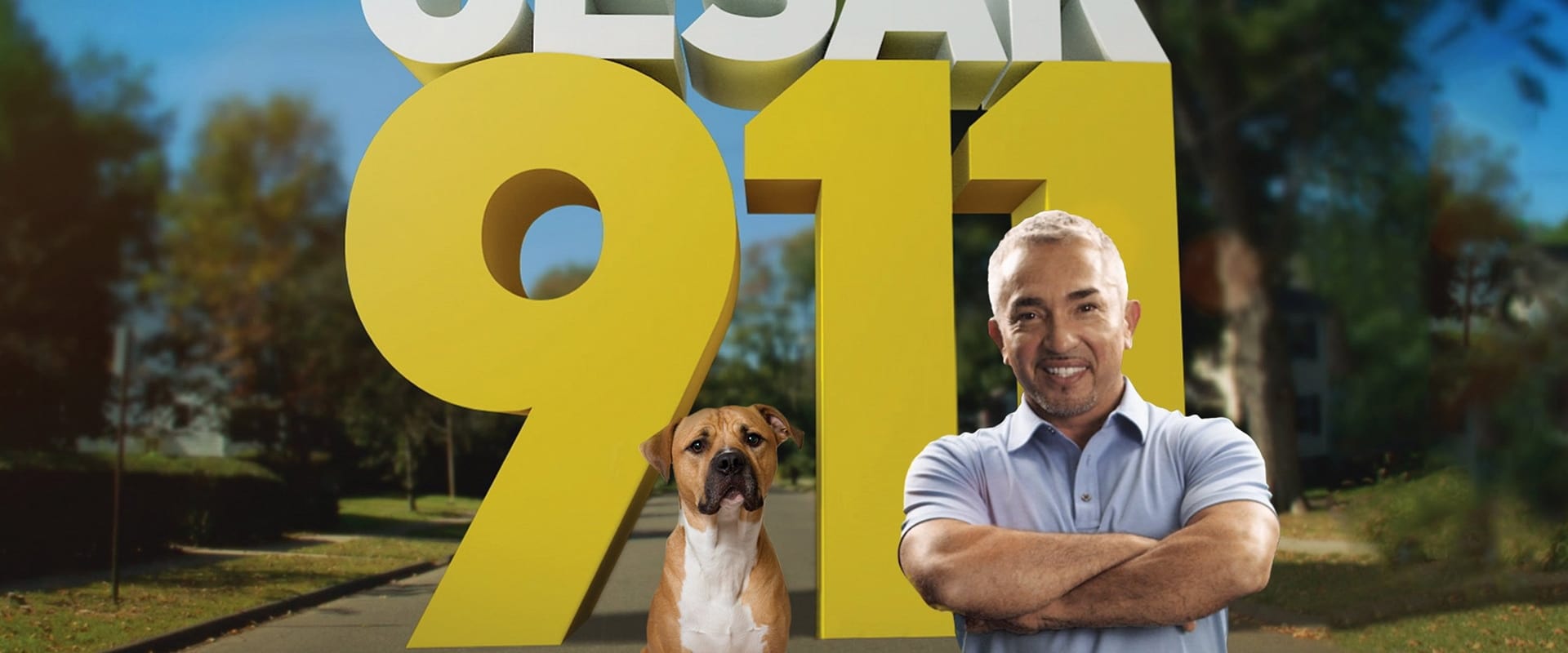 Cesar 911